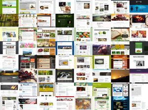 64 Deutsche Paleo-Blogs und -Webseiten