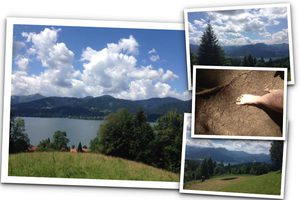 Barfuss-Wandern am Tegernsee