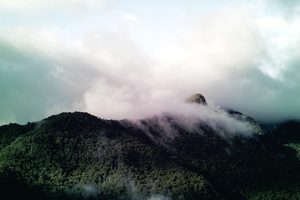 Berge mit Nebel