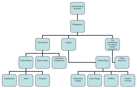 Klassifikation von Gluten-bezogenen Gesundheitsstörungen 