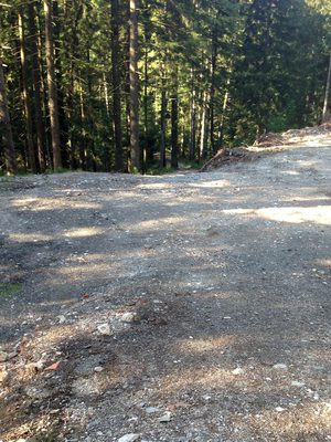 Ein Wanderweg mit ordentlich Geröll. Aua. 