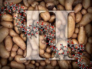 Kartoffeln und ein Stärke-Molekül, Teil II. Kartoffeln und ein Stärke-Molekül, Teil II.